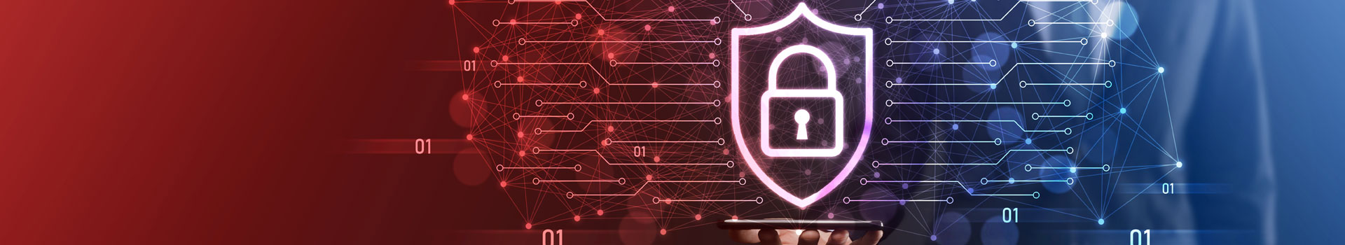 privacy-policy-page-banner-iusg